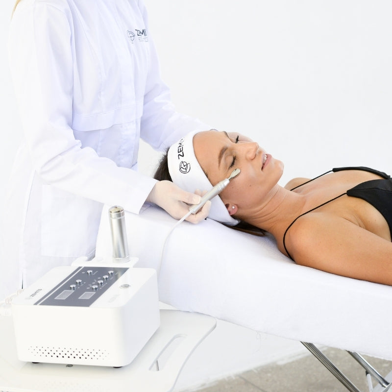 Zemits Klein EL エレクトロポレーションシステム